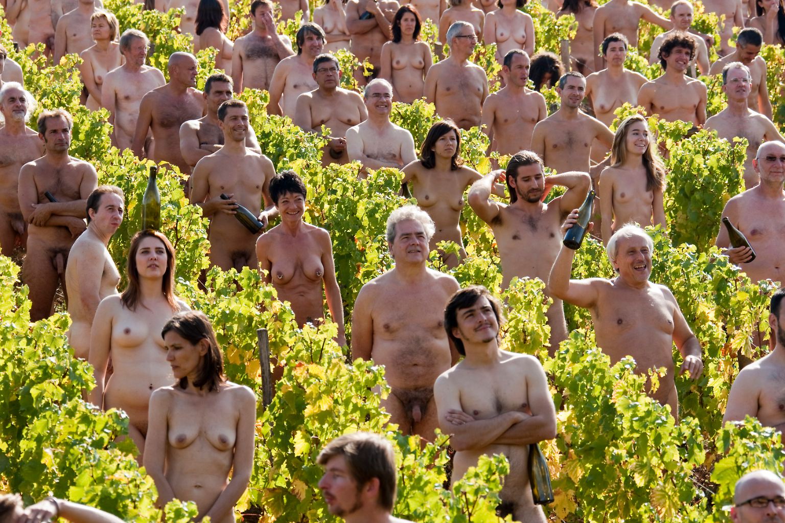 Strahlendes Wetter, ein französischer Weinberg und 700 Nackte - auch so kann eine Aktion gegen den Klimawandel aussehen.