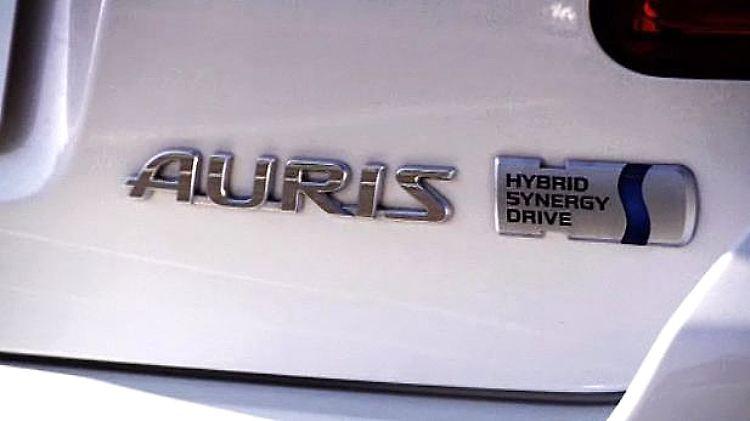Auris.jpg