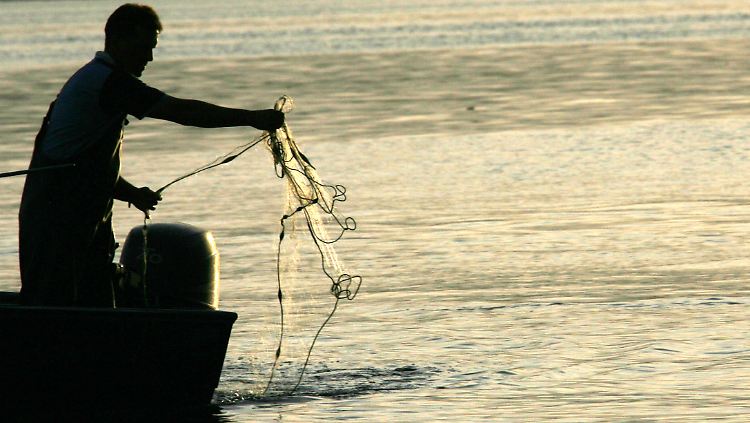"Wir wollen natürlich keinen schmutzigen See" - aber große Fische.