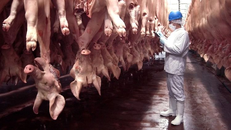 Die Betreiberfirma begründet die Schlachtung damit, dass ein Abtransport der Tiere zu teuer wäre.