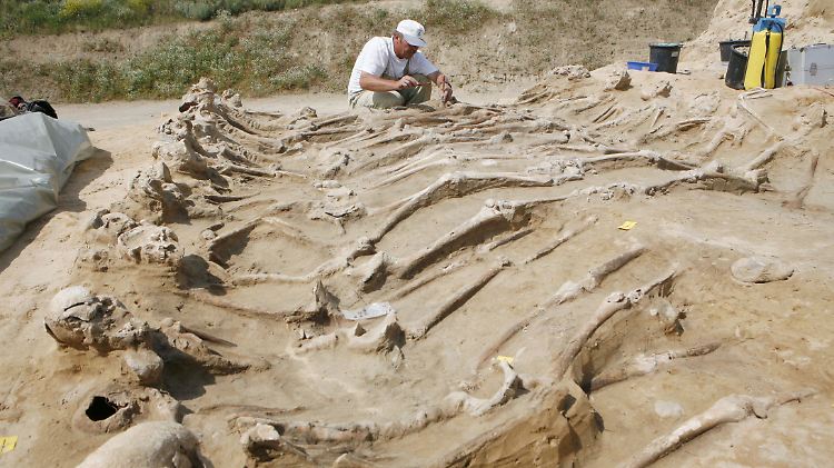 2007 freigelegt: ein Massengrab aus dem Dreißigjährigen Krieg bei Wittstock (Ostprignitz-Ruppin).
