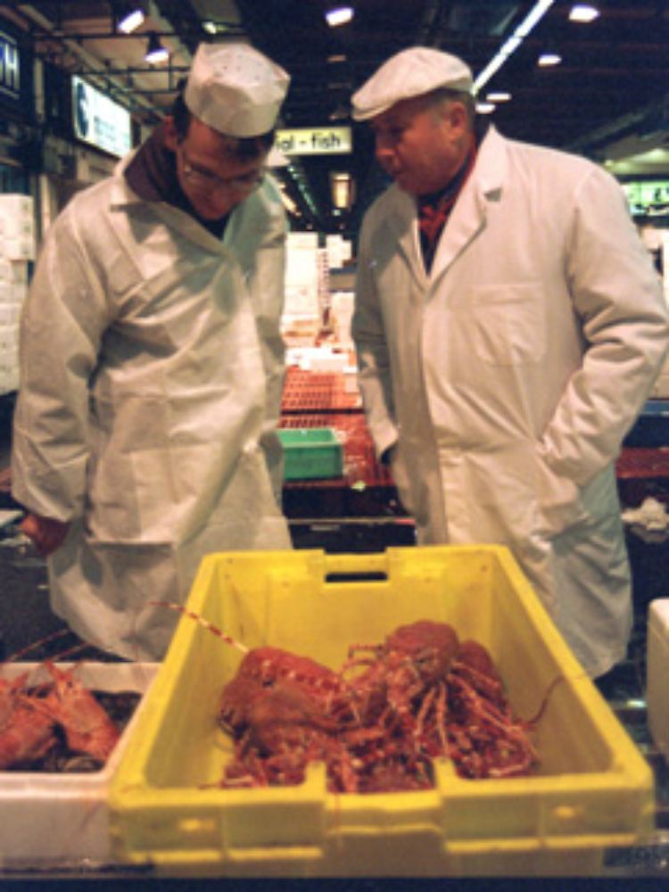 Fischhändler kontrollieren die Ware.