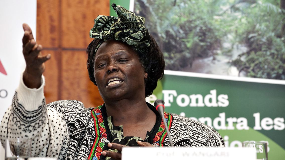 Die kenianische Professorin und Friedensnobelpreisträgerin Wangari Maathai spricht über die Klima-Krise in Afrika.