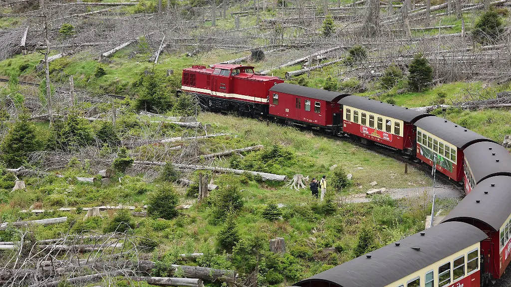 Auf-mehreren-Strecken-der-Harzer-Schmalspurbahnen-gibt-es-Einschraenkungen