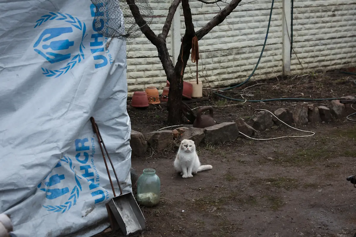 2025-07-10T135045Z-1572269105-MRPRC2BIDAE2IKJ-RTRMADP-3-UKRAINE-CRISIS-CHILDREN-KALYNOVE