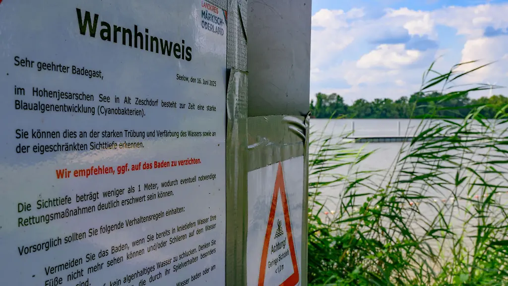 Im-Hohenjesarscher-See-trueben-Blaualgen-derzeit-den-Badespass