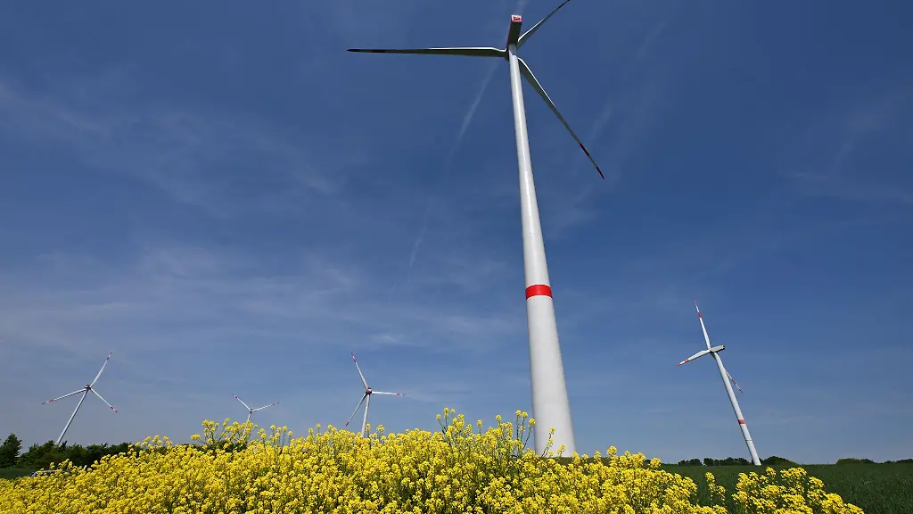 Windkraftunternehmen-sehen-grosses-Potenzial-in-den-geplanten-neuen-Flaechen-zum-Bau-von-Windraedern-in-Nord-und-Ostthueringen