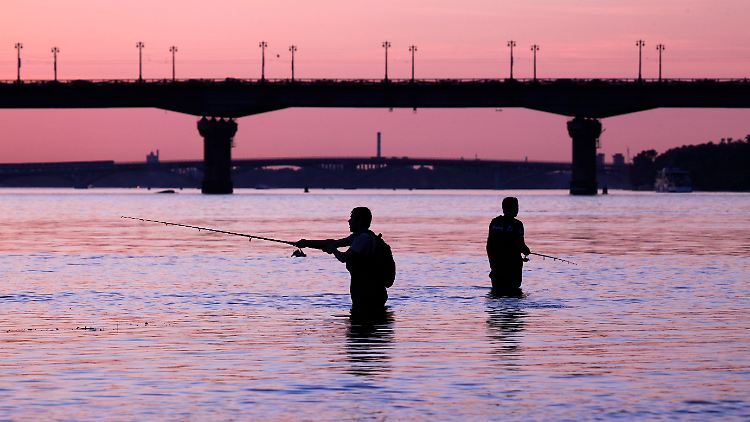 Der eigentliche Volkssport in Kiew: Angeln am Fluss.