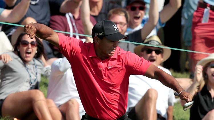 Tiger Woods hat wieder Biss.
