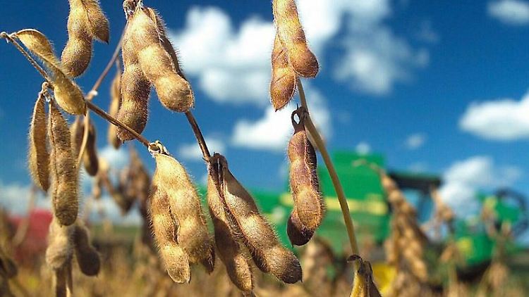 Brasilien, Indonesien und weitere Länder werden oft wegen ihrer Waldzerstörung kritisiert. Doch verantwortlich dafür sind auch die Käufer von Kaffee, Rattan oder anderen Produkten.