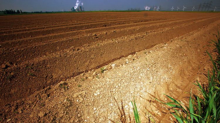Schon heute werden 43 Prozent der eisfreien Erdoberfläche für die Landwirtschaft und zum Wohnen genutzt.