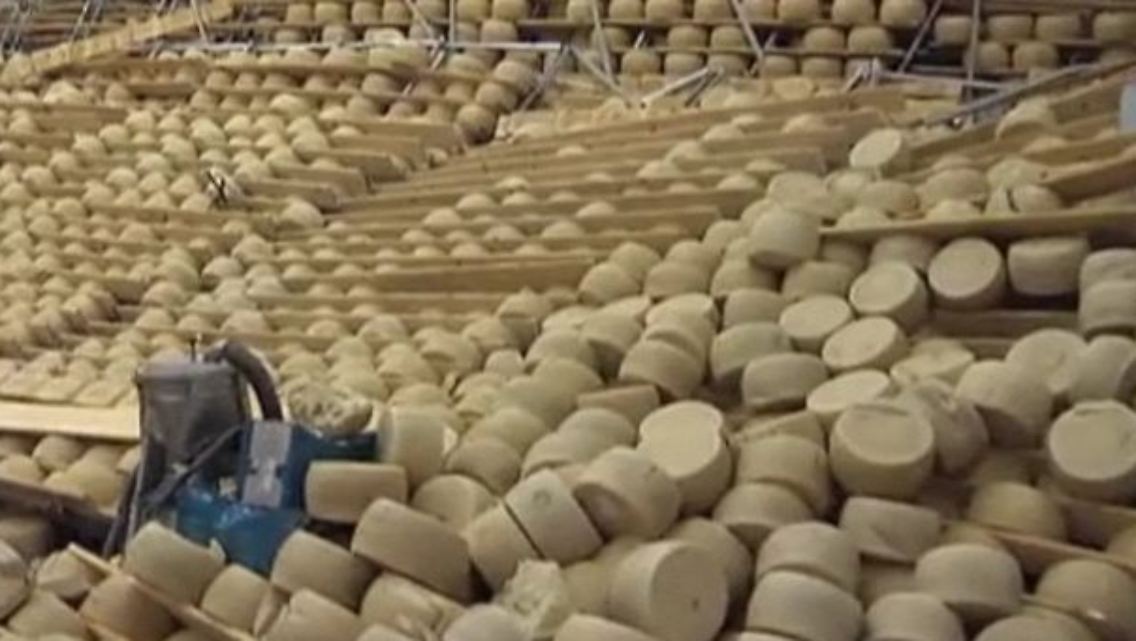 parmesan.JPG