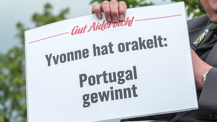Kuh Yvonne geht gleich voll auf Konfrontationskurs mit ihrem Tipp.