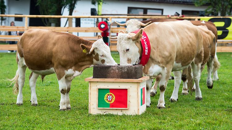Yvonne (rechts) mag das Wasser aus dem portugiesischen Trog lieber. Was hat das zu bedeuten für die deutsche Nationalmannschaft?