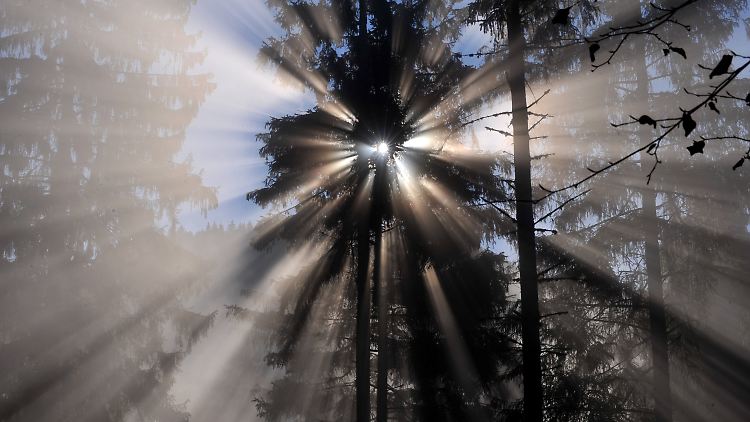 Das bisherige Weltbild der Physik behält Bestand: Neutrinos sind nicht schneller als das Licht.