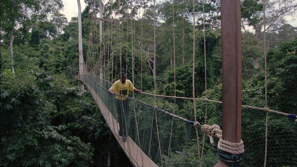 Seilbrücke im Nationalpark Kakum.