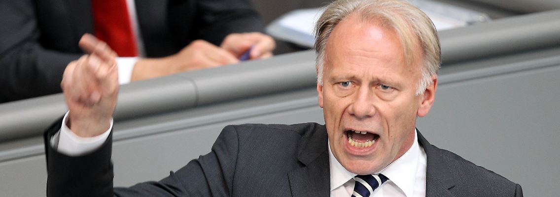 Setzt die Bundesregierung unter Druck: Jürgen Trittin.