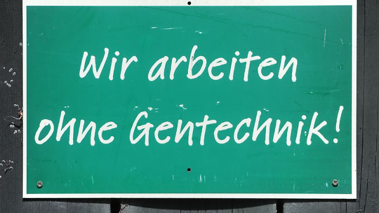 Wenn es nach der EU geht, sollen Lebensmittel künftig gentechnisch veränderte Pflanzen enthalten können.