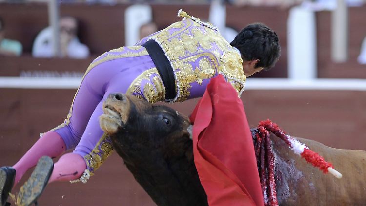 Pro Jahr gibt es in Spanien rund 2000 Stierkämpfe.