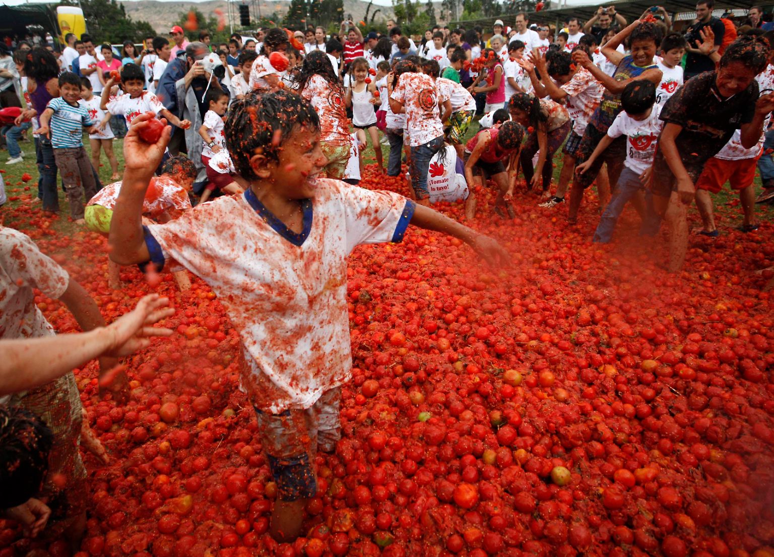 Tomaten sind ein Exportschlager. Spanien beispielsweise exportiert alljährlich rund 900.000 Tonnen des saftigen Nachtschattengewächses.