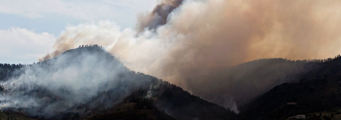 Hunderte Feuerwehrleute sind im Einsatz.