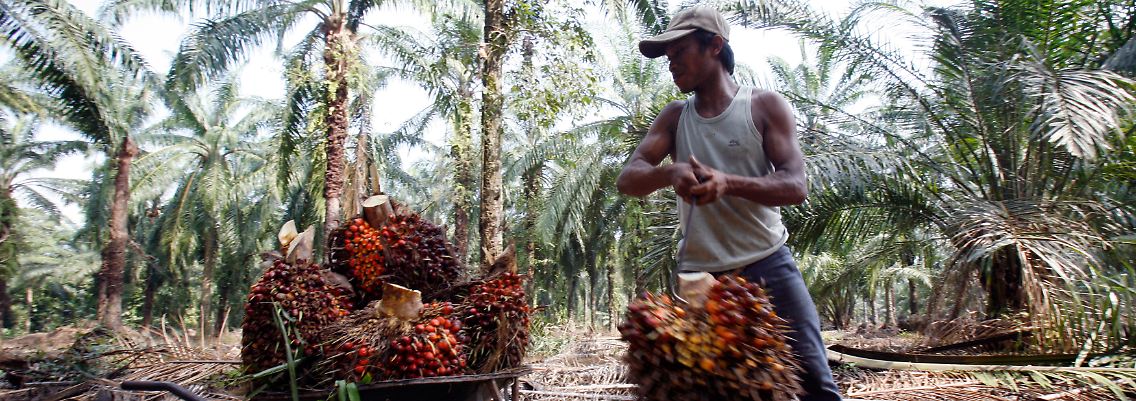 Ein Arbeiter auf einer Palmölplantage außerhalb von Kuala Lumpur.