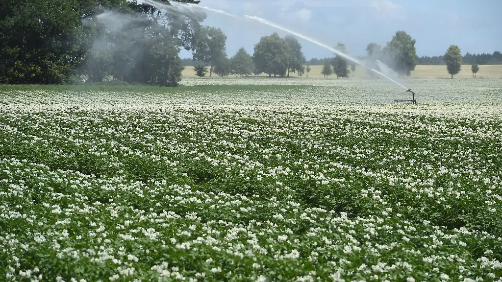 Fuer-Bauern-in-MV-soll-die-Wasserentnahme-zur-Beregnung-der-Aecker-kuenftig-nicht-mehr-kostenfrei-sein-Auch-fuer-Verbraucher-in-MV-wird-Wasser-teurer