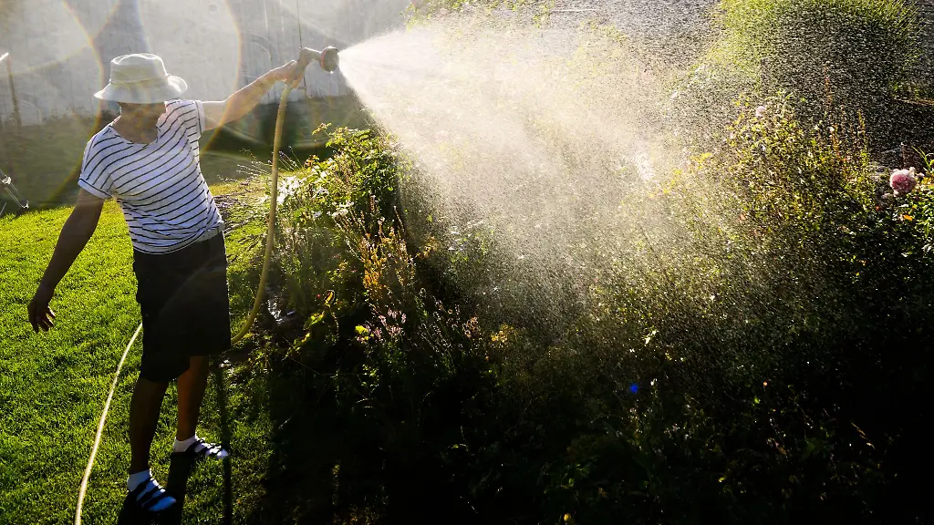 Besser-Grauwasser-nutzen-Wer-seine-Pflanzen-im-Garten-giesst-verbraucht-sonst-im-Sommer-viel-Trinkwasser