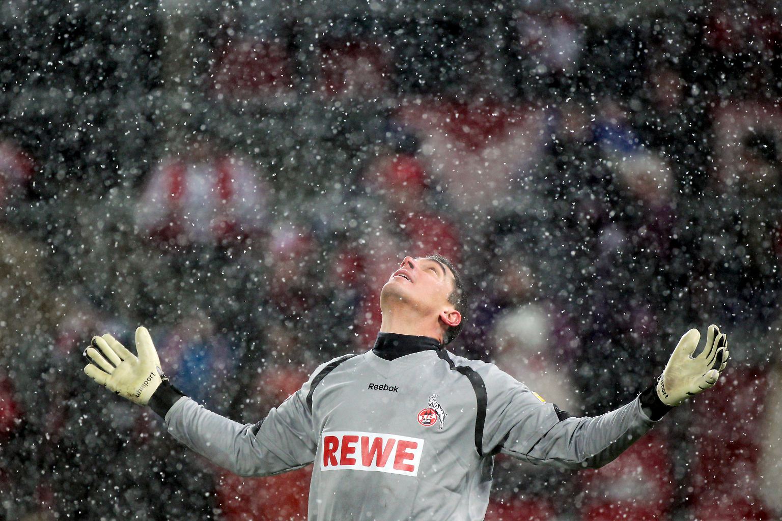 "Warum sagt man, dass man nichts sagen will? Weil man nichts sagen will. Deshalb sagt man das." Wortreich gesagt, dass und warum er nichts sagen will, hat am 17. Spieltag aber nicht Kölns Keeper Faryd Mondragon, ...