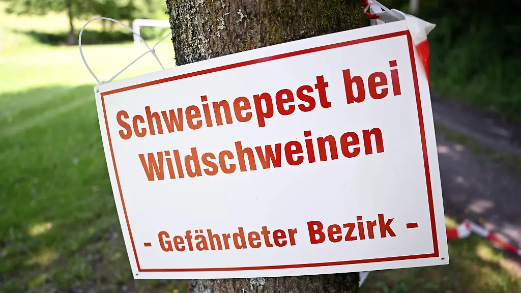 Um-die-Schweinepest-einzudaemmen-gibt-es-etwa-im-Sauerland-Einschraenkungen-fuer-Spaziergaenger
