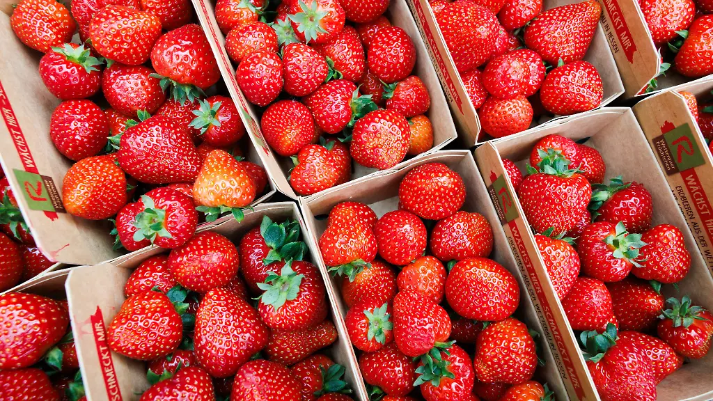 1431c8184ff31c78c1ec112dc6e6304c