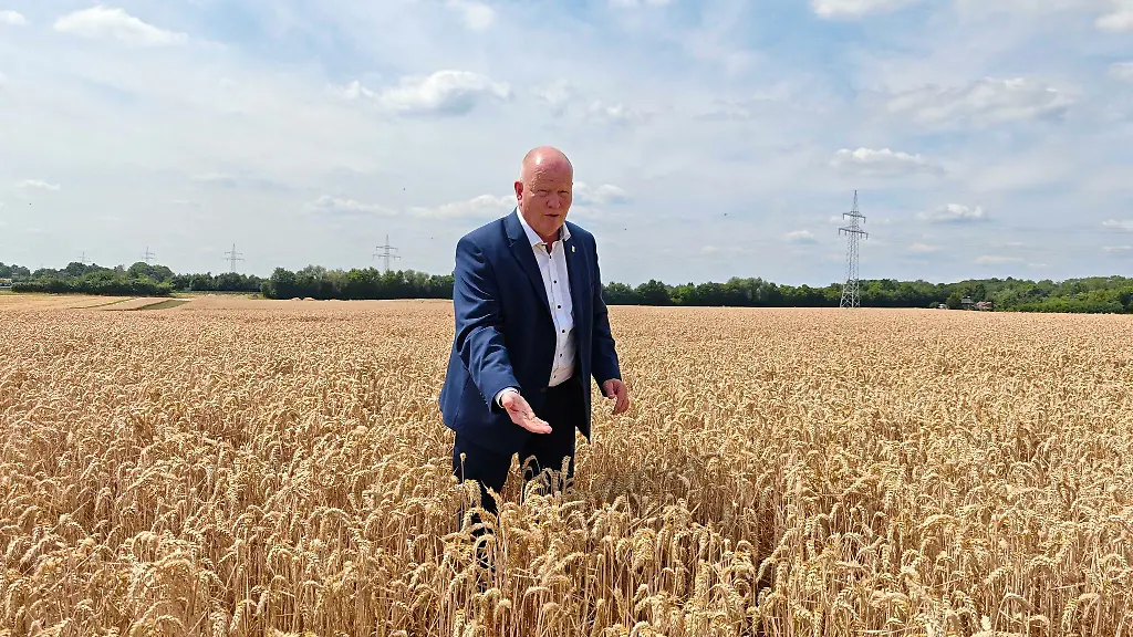 Winterweizen-wird-derzeit-in-Hessen-geerntet