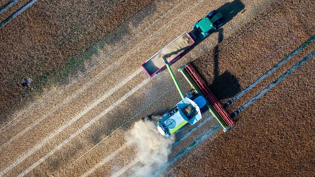 Der-fuer-Mecklenburg-Vorpommern-besonders-wichtige-Agrar-Topf-der-EU-soll-stark-schrumpfen-wird-in-Schwerin-befuerchtet-Grosse-Unternehmen-muessten-mit-Kappungen-rechnen