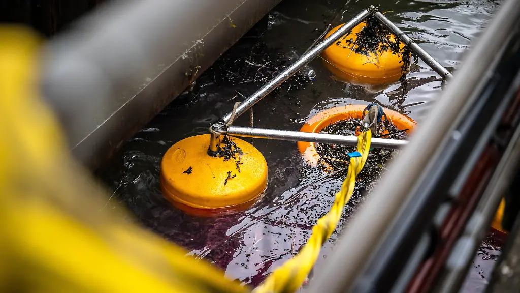 f4847c53546945766c80a845f9e6a013