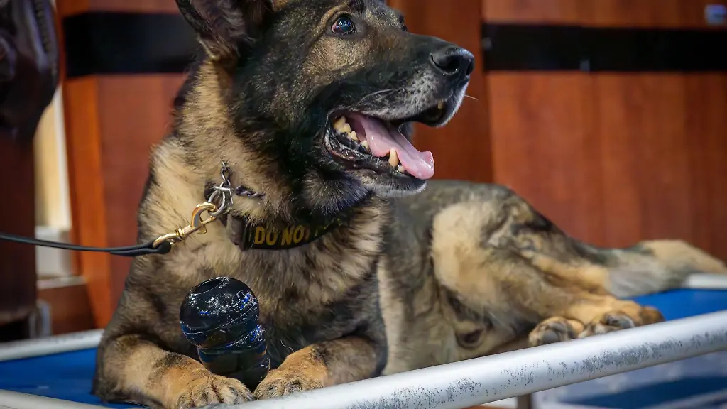 Axel-geht-nach-60-000-Einsatzstunden-in-den-Ruhestand