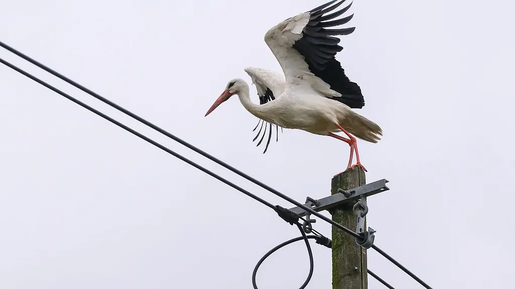 Am-Wochenende-ist-nach-DWD-Angaben-mit-einer-eher-dichteren-Wolkendecke-zu-rechnen