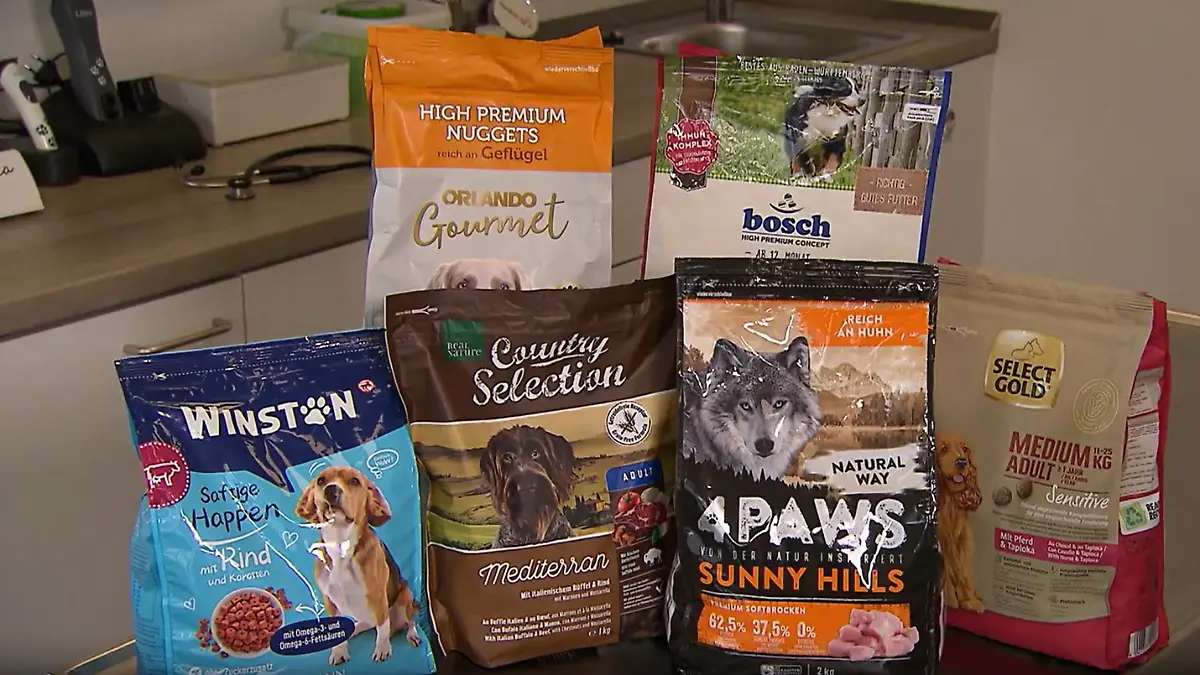 Viele Sieger unter vier Euro - Diese Hunde-Trockenfutter bieten das  Komplettpaket - Video - ntv