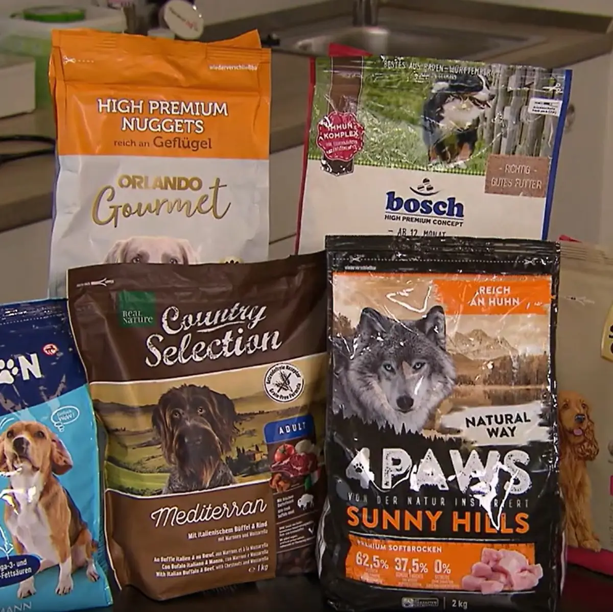 Viele Sieger unter vier Euro: Diese Hunde-Trockenfutter bieten das  Komplettpaket - ntv.de