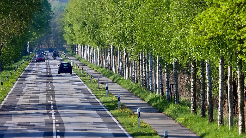 Der-Paulsdamm-nach-Schwerin-bleibt-wegen-Strassenbauarbeiten-fuer-zwei-Wochen-voll-gesperrt