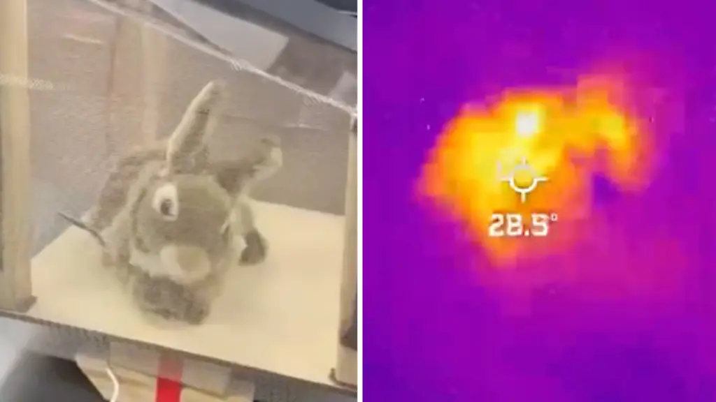 Roboterkaninchen-jagen-Pythons