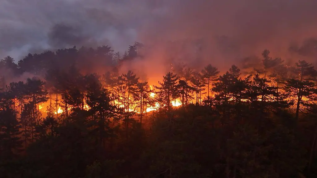 d229b226e8dc4d1342f572c103258742