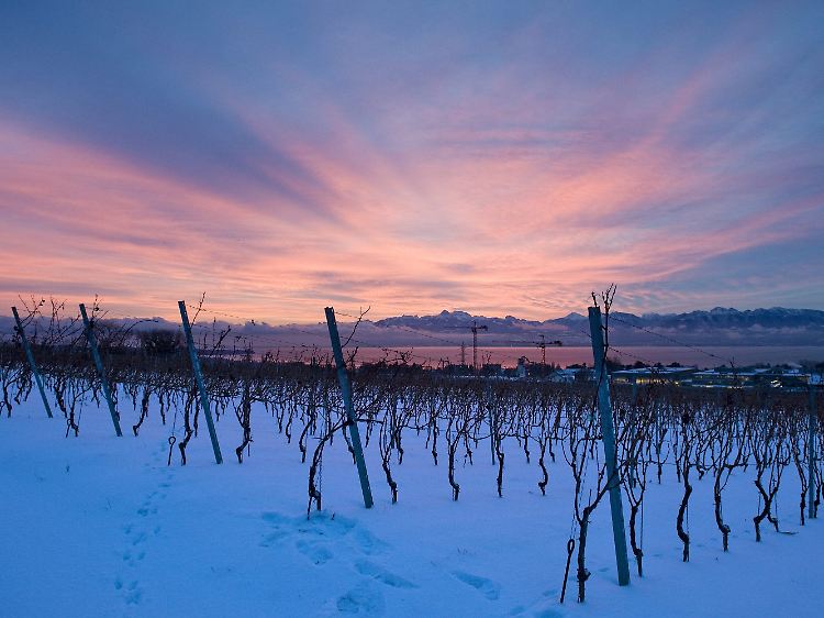 Sonnenaufgang in der Nähe des Genfer Sees.