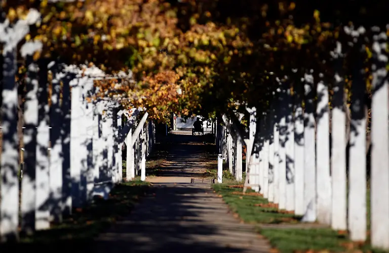 2012-05-14T120000Z-183825692-GM1E85E10MB01-RTRMADP-3-GERMANY-CHILE-SECT