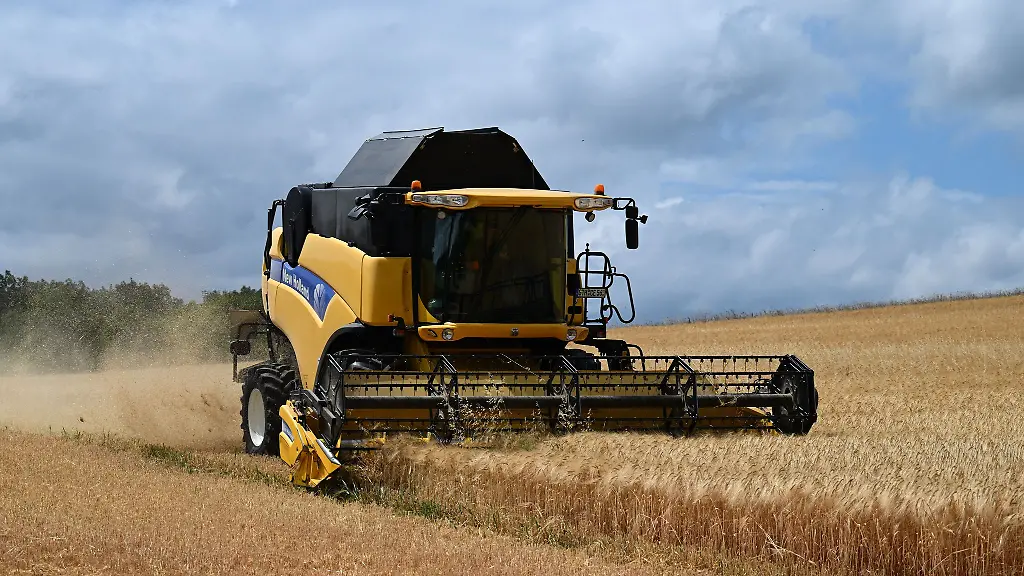 Die-Ernteertraege-in-Thueringen-duerften-in-diesem-Jahr-geringer-ausfallen-als-im-Durchschnitt-der-vergangenen-Jahre