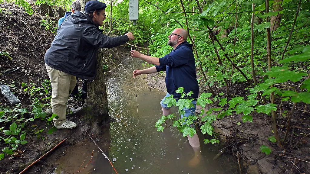 KI-soll-bei-der-Ueberwachung-der-Wasserqualitaet-kleinerer-Fluesse-und-Baeche-helfen