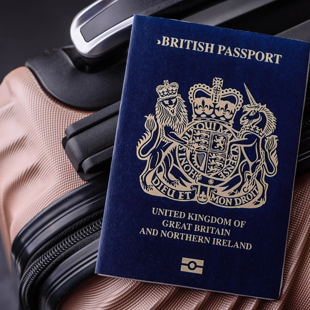 Der Börsen-Tag: US-Offerte für deutsche KI-Firma - ntv.de