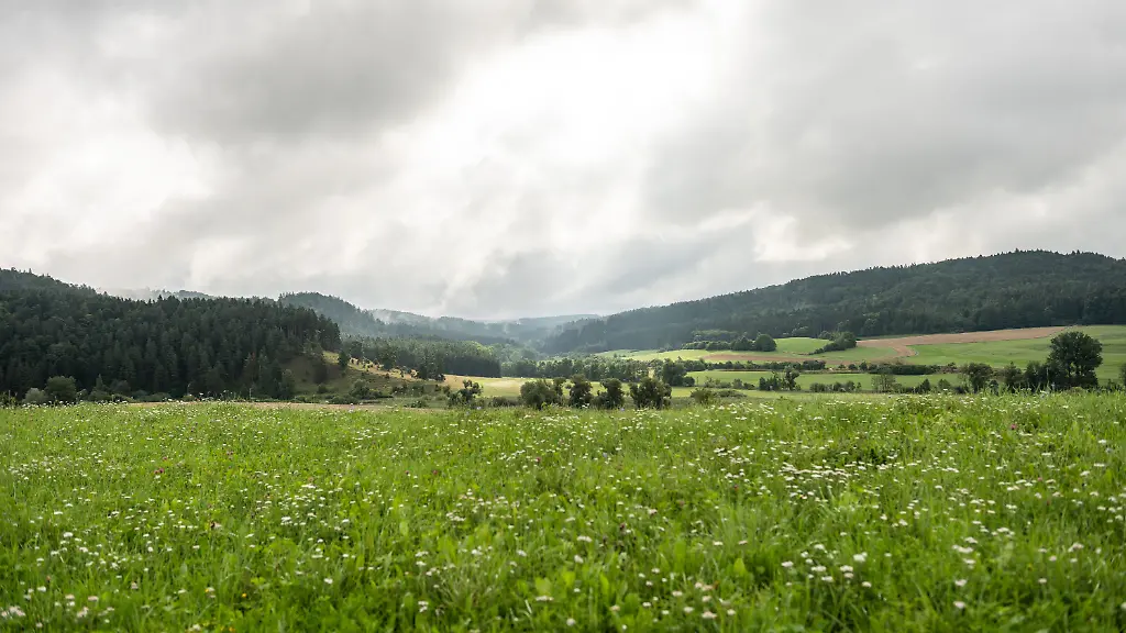 25a0d0190bb6cfb5cc3f5e80facc506b