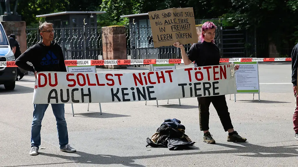 Schon-seit-Tagen-gibt-es-Proteste-vor-dem-Nuernberger-Tiergarten-Nun-soll-ein-Camp-folgen