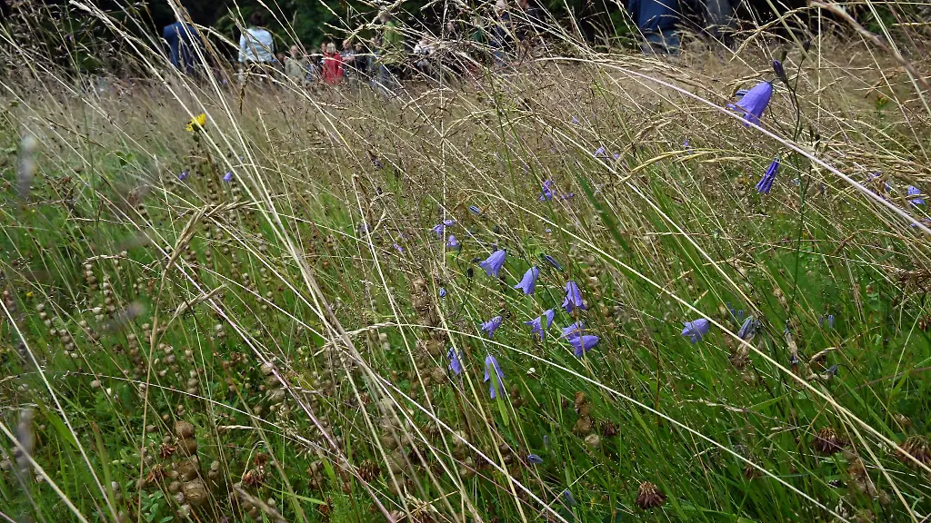 Naturschuetzer-kritisieren-Kuerzungen-durch-das-Umweltministerium