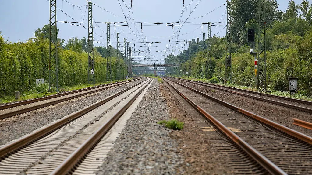 Der-Lokfuehrer-des-Regionalzugs-leitete-eine-Notbremsung-ein